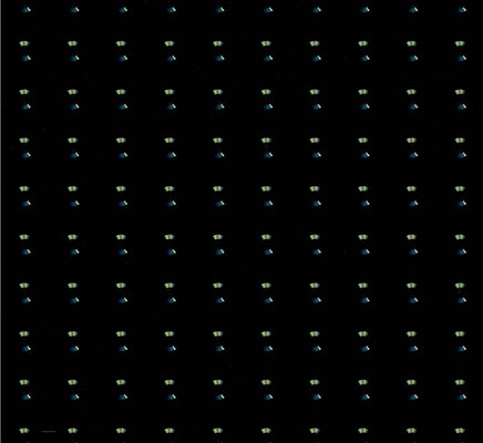 PL 8019